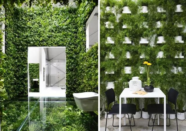 綠植長在墻上，個性又省地方！